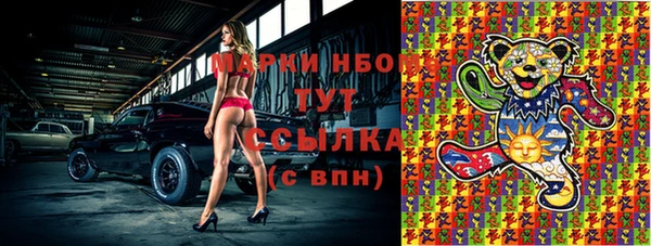 a pvp Новозыбков