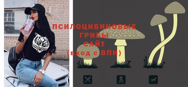 a pvp Новозыбков