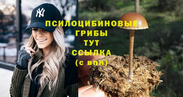 хмурый Новодвинск