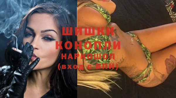 a pvp Новозыбков