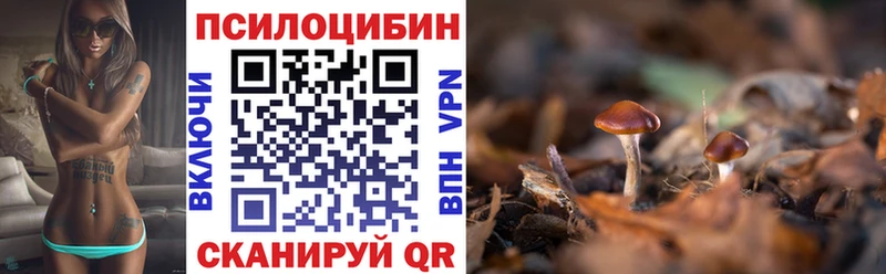 Галлюциногенные грибы Psilocybine cubensis  закладка  Владимир 